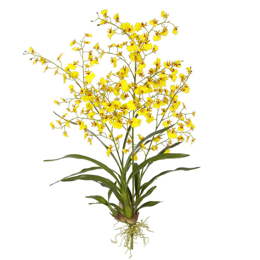 Oncidium Orchid Yellow 40''